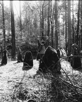 63 Druids stone circle - Ravensdale Woods