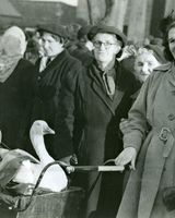07 Turkey Market Outside St. Patricks c. 1960's