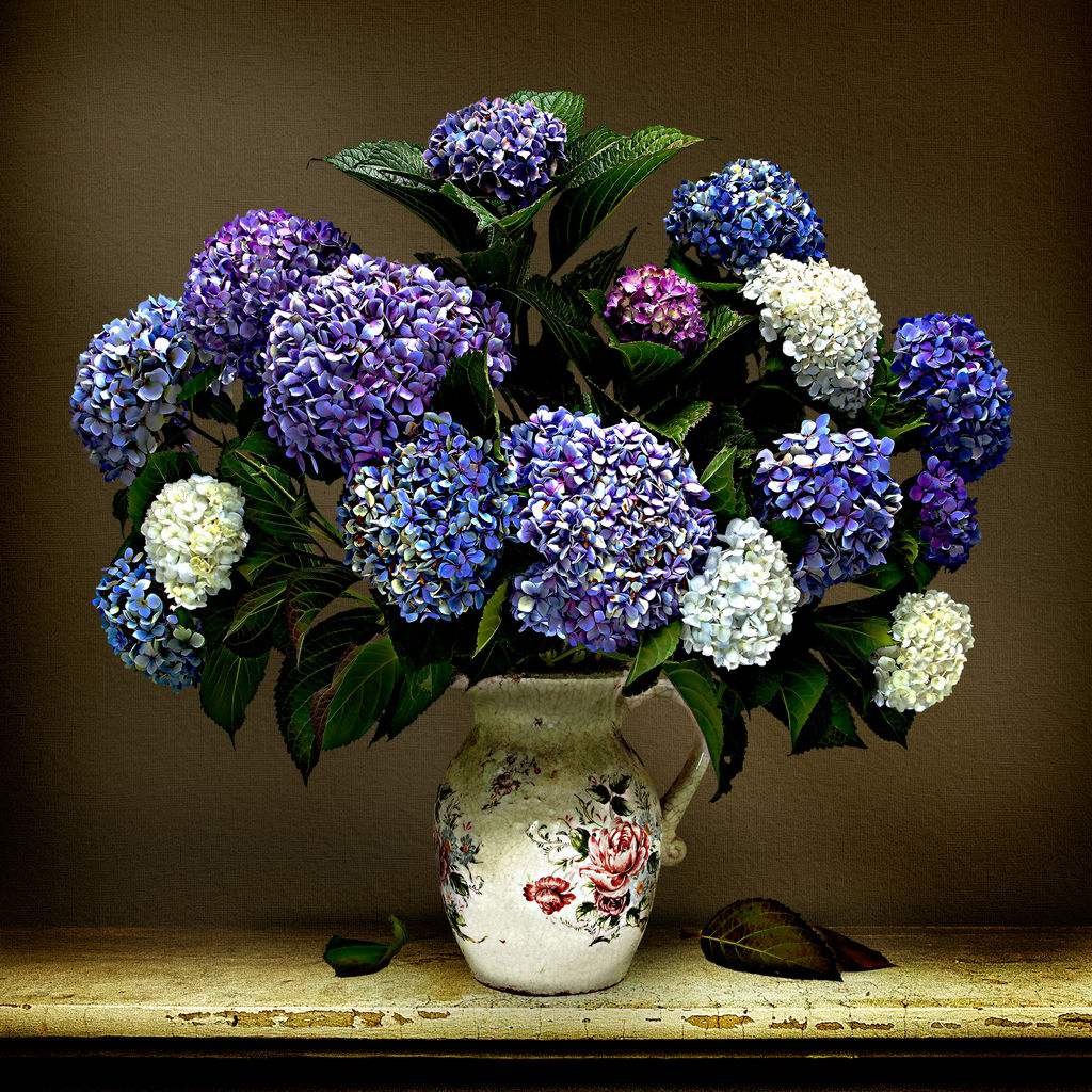 Hydrangea Vase