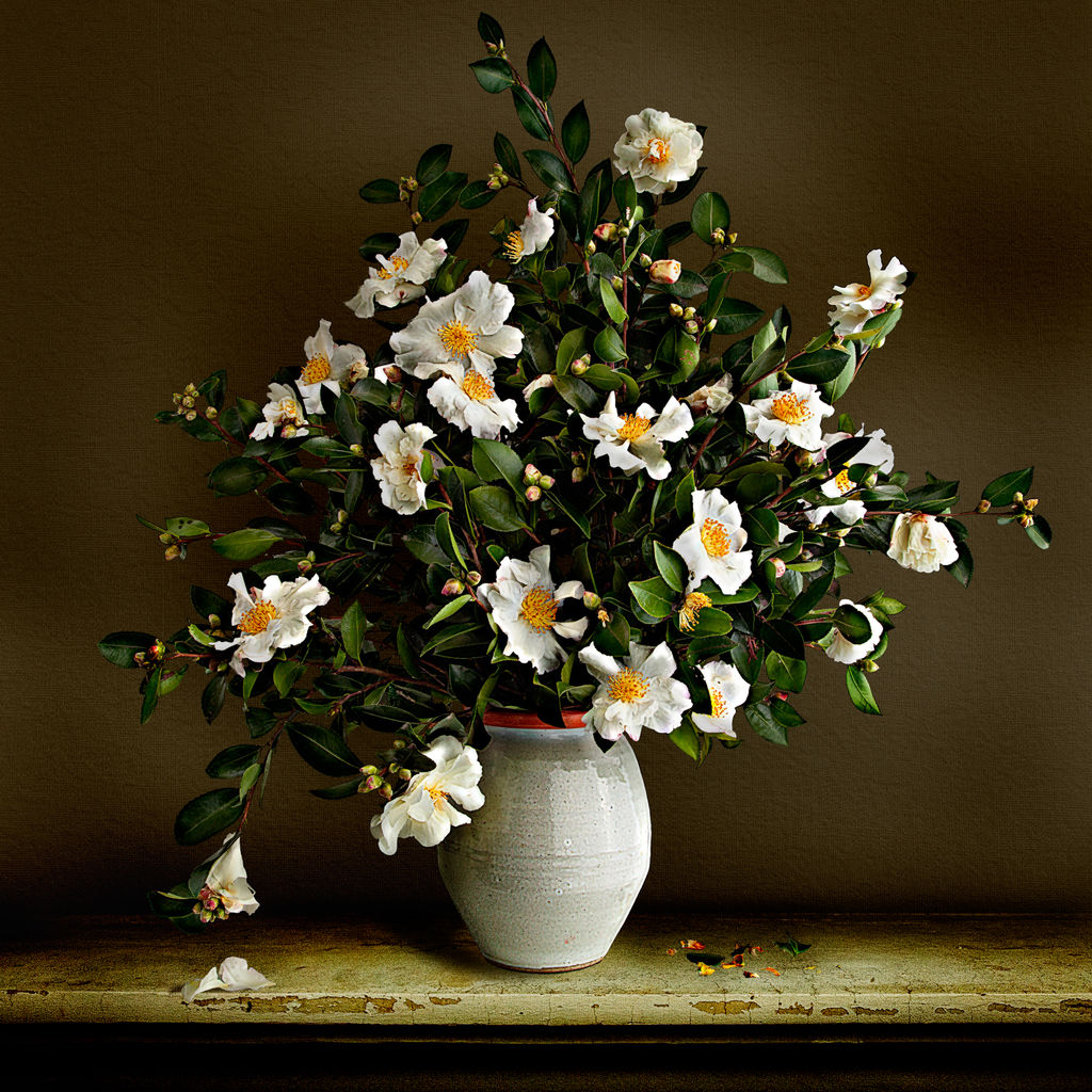 Camelia Vase