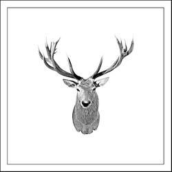 deer head Artifact - Giclée Print on Museum Etching Fine Art Paper