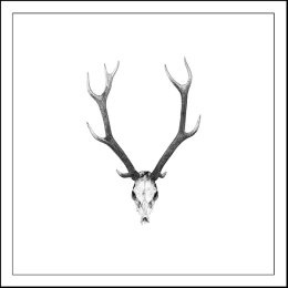 goat Artifact - Giclée Print on Museum Etching Fine Art Paper