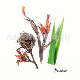 harakeke botanical - Giclée Print on Museum Etching Fine Art Paper