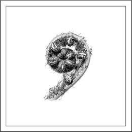 koru Artifact - Giclée Print on Museum Etching Fine Art Paper