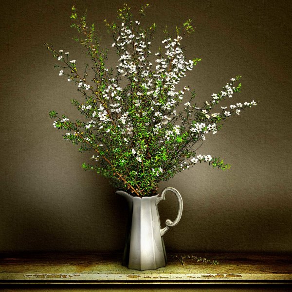 Manuka Native Vase