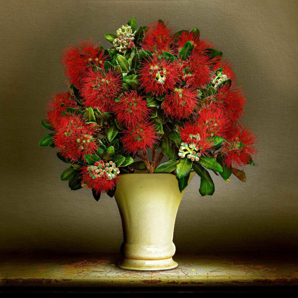 pohutukawa Native Vase