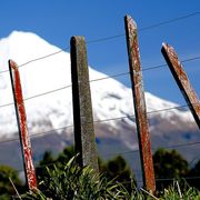 taranaki gate - country