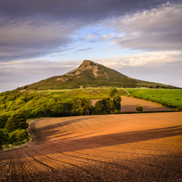 Roseberry Topping, North York Moors, 2016