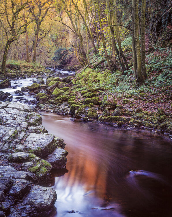 AUTUMN LIGHT, RIVER TWISS, YORKSHIRE, 1994