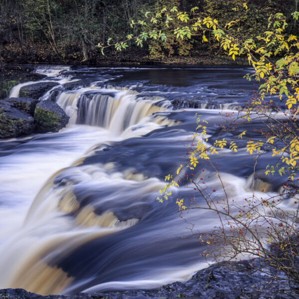 AYSGARTH FALLS, WENSLEYDALE, YORKSHIRE, 1997