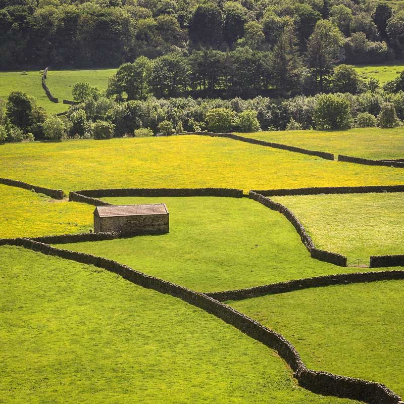 D12 Barn and Walls, Gunnerside, Swaledale