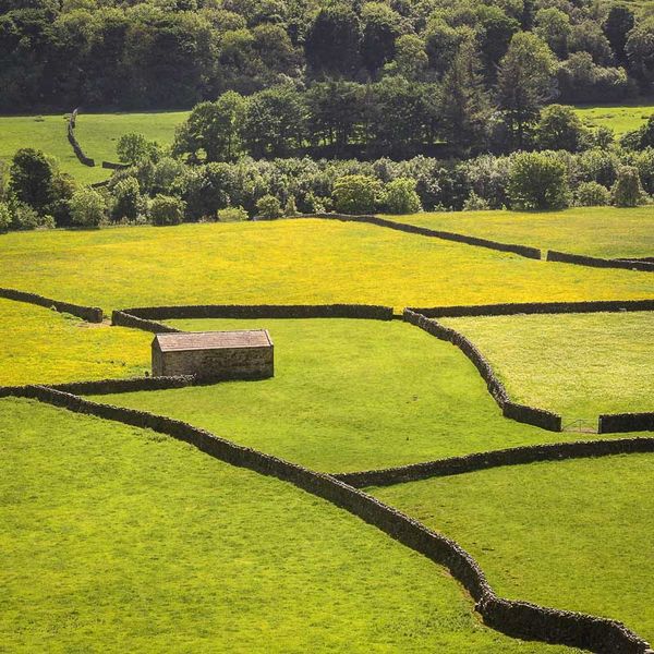 D12 Barn and Walls, Gunnerside, Swaledale