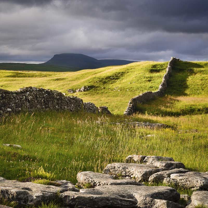D23 Before the Storm, Penyghent, Ribblesdale