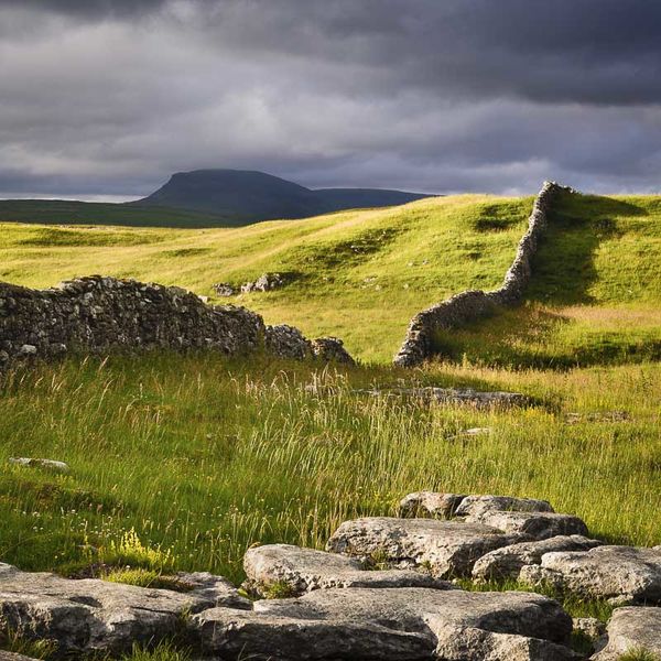 D23 Before the Storm, Penyghent, Ribblesdale