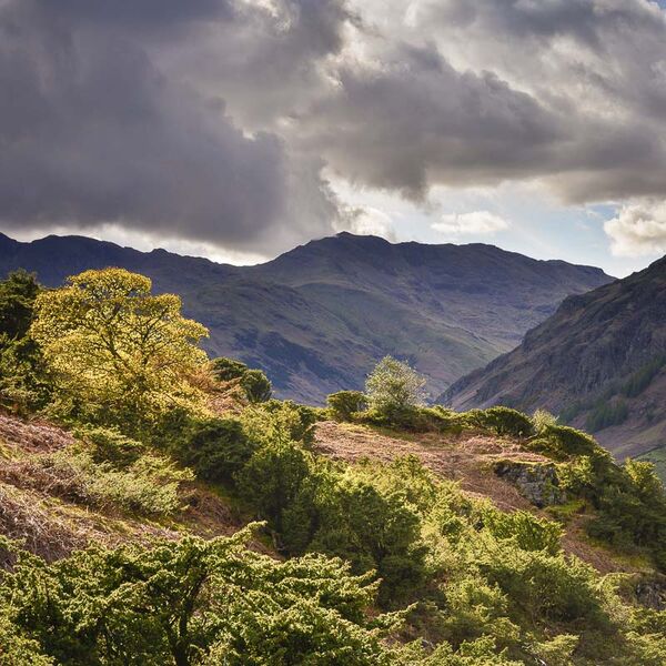 L15 Bow Fell, Langdale, Cumbria