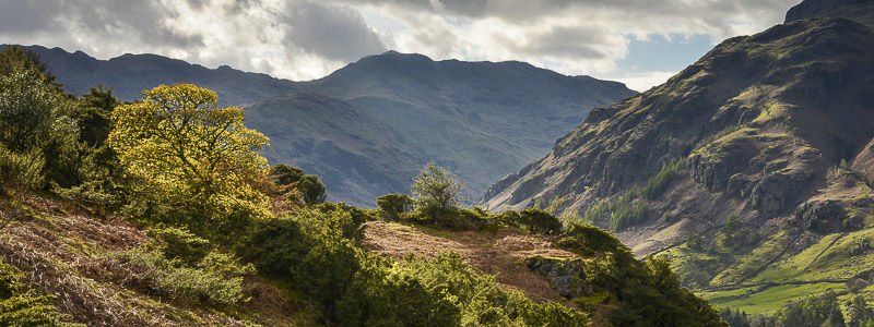 BOW FELL PANORAMA, LANGDALE, CUMBRIA, 2017