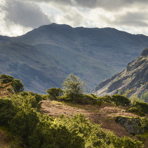 L13 Bow Fell Panoramic, Langdale