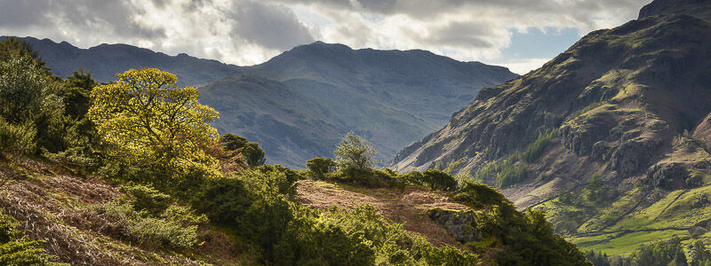 BOW FELL PANORAMA, LANGDALE, CUMBRIA, 2017