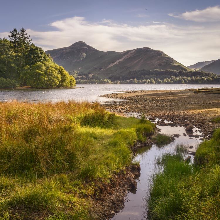 L29 Catbells, Derwent Water, Cumbria
