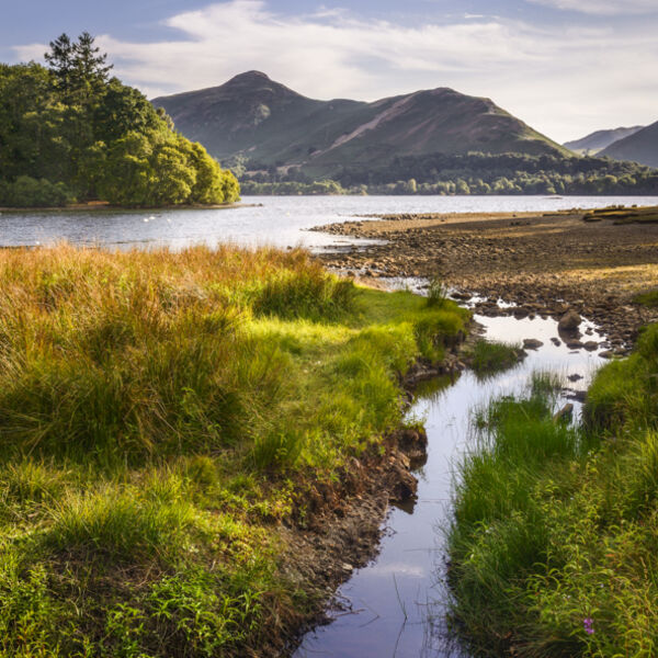 Catbells, Derwent Water, Cumbria, 2018