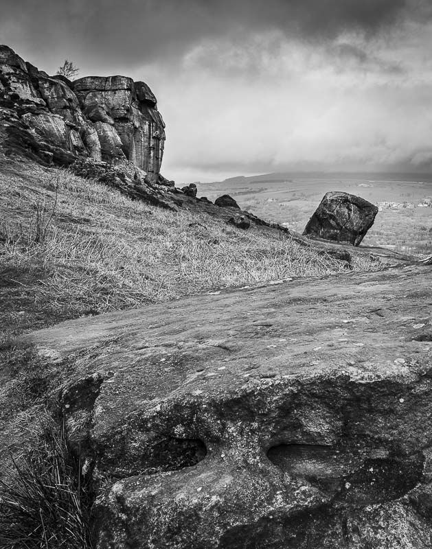 COW AND CALF, ILKLEY MOOR, YORKSHIRE, 2019