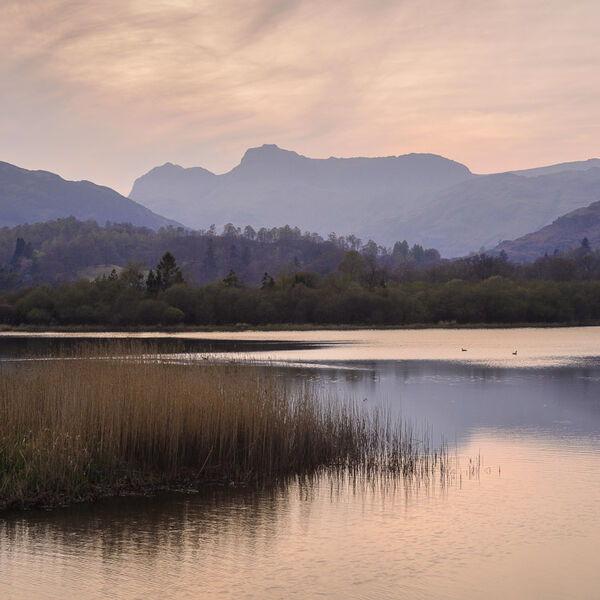L16 Evening Light, Elterwater, Langdale