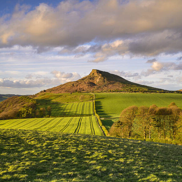 M14 Evening Light, Roseberry Topping