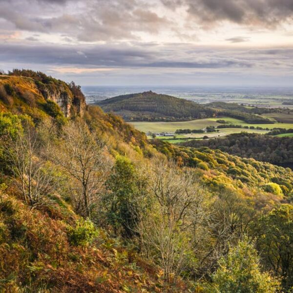 M16 Hood Hill, Sutton Bank, North York Moors