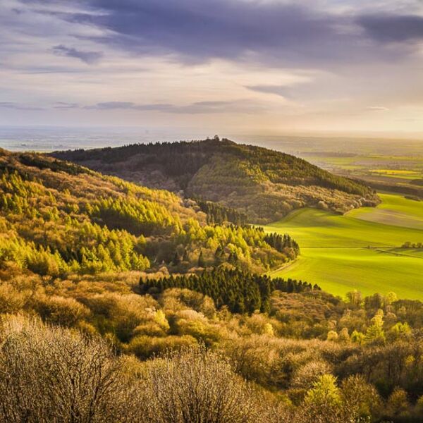 M12 Hood Hill from Sutton Bank, North York Moors