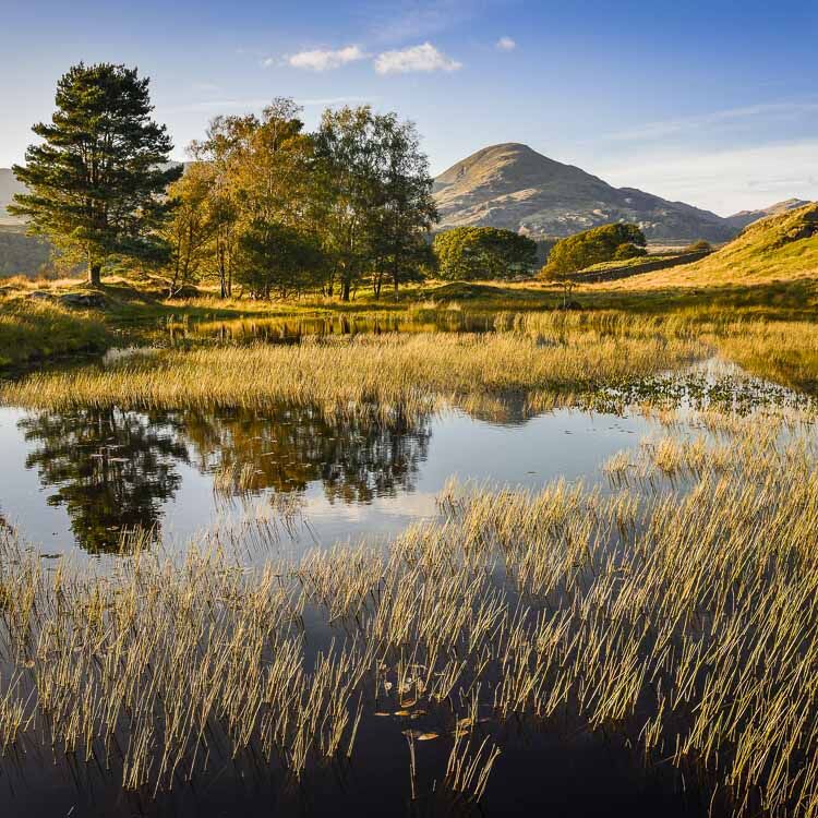 KELLY HALL TARN, CUMBRIA, 2019