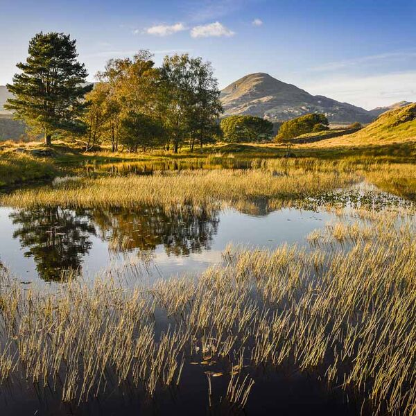 L31 Kelly Hall Tarn and The Old Man of Coniston, Cumbria