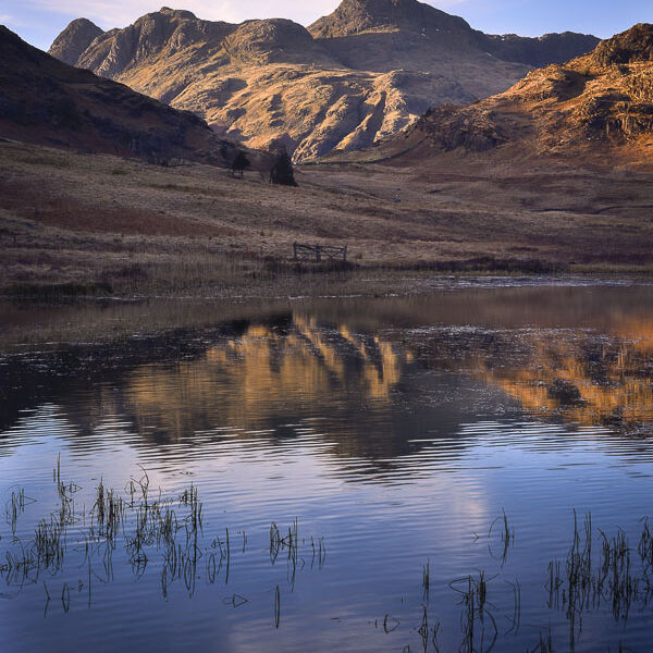 L20 Langdale Pikes Sunset, Cumbria