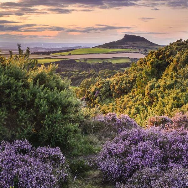 M11 Late Summer, Roseberry Topping