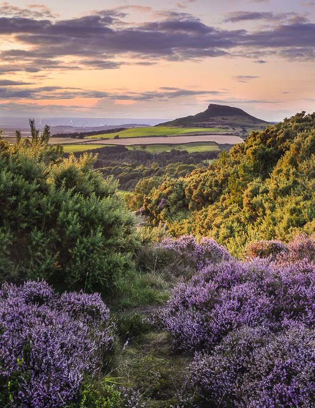 LATE SUMMER, ROSEBERRY TOPPING, YORKSHIRE, 2019