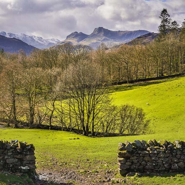 L21 Late Winter in Langdale, Cumbria