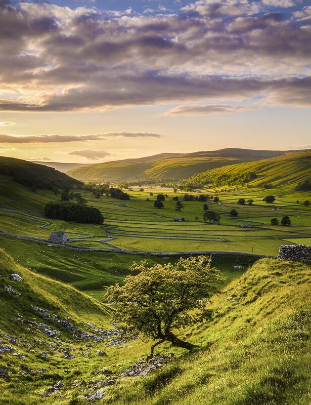 LITTONDALE EVENING, YORKSHIRE DALES NATIONAL PARK, 2019