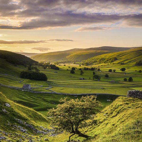 D19 Littondale Evening, Yorkshire Dales
