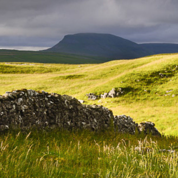 D25 Penyghent Panoramic, Ribblesdale