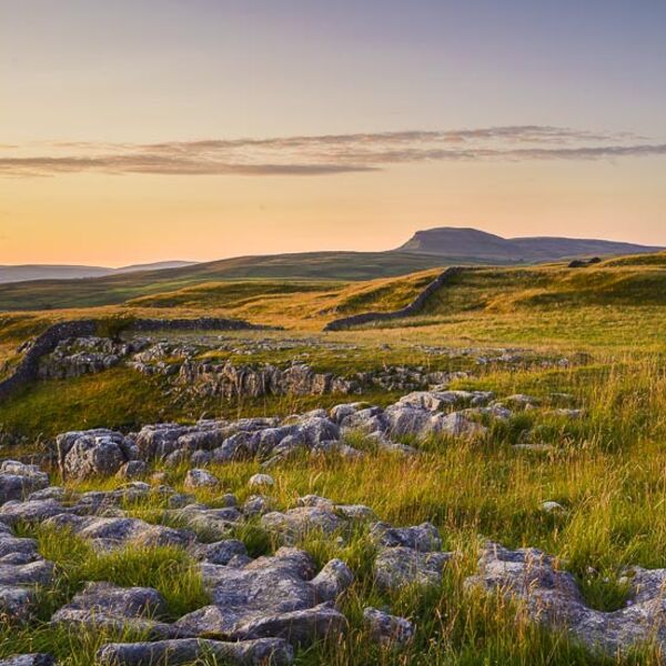 D24 Penyghent and Winskill Stones, Summer Evening