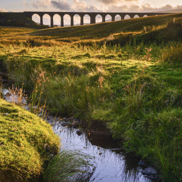 D31 Ribblehead Viaduct, Yorkshire Dales