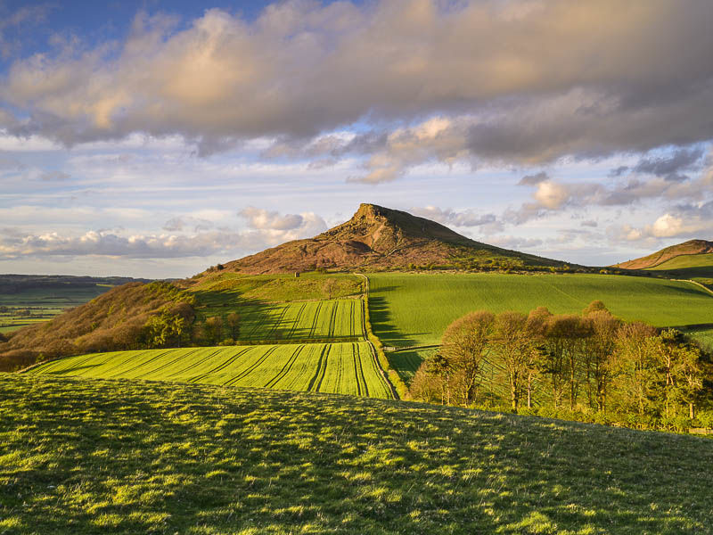 EVENING LIGHT, ROSEBERRY TOPPING, YORKSHIRE, 2017