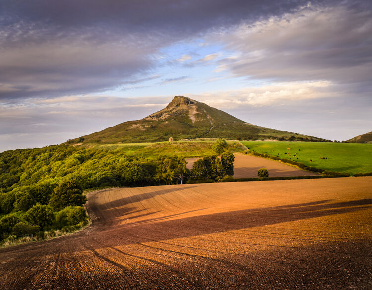 ROSEBERRY TOPPING, NORTH YORK MOORS NATIONAL PARK, 2016