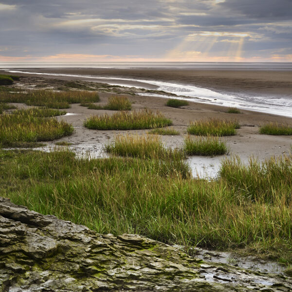 SILVERDALE, LANCASHIRE, 2020