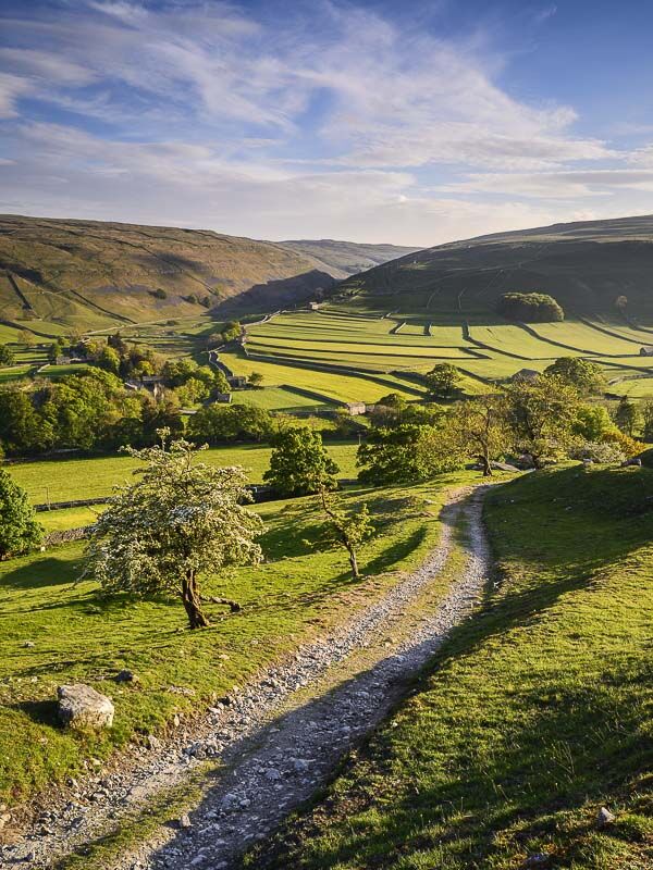 D26 Springtime, Arncliffe, Littondale