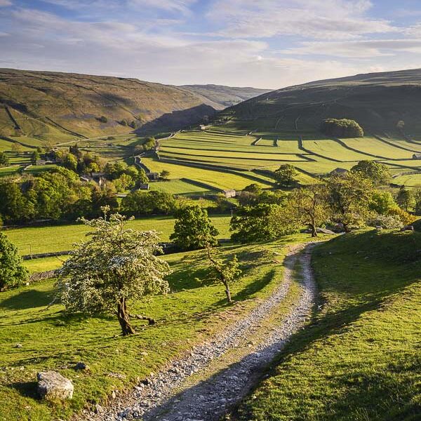 D26 Springtime, Arncliffe, Littondale