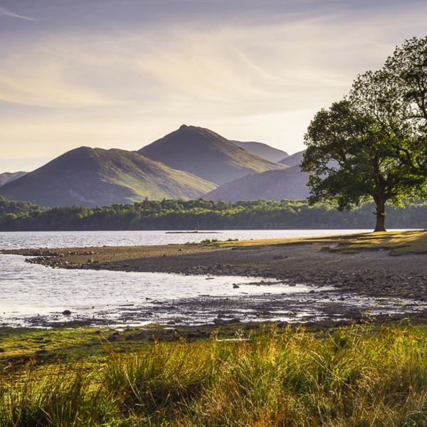 L25 Summer Evening, Causey Pike, Derwent Water