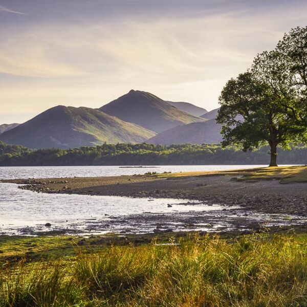 L25 Summer Evening, Causey Pike, Derwent Water