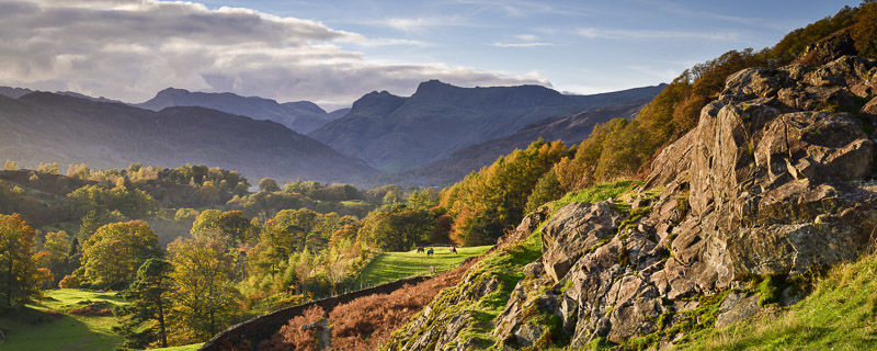 THREE HORSES, LANGDALE, CUMBRIA, 2018