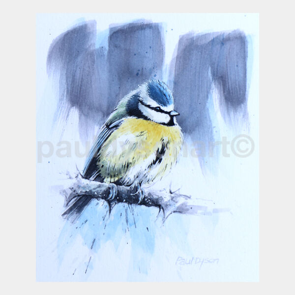 Blue Tit