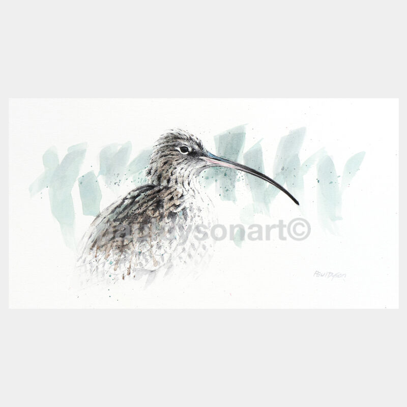 Call of the Curlew